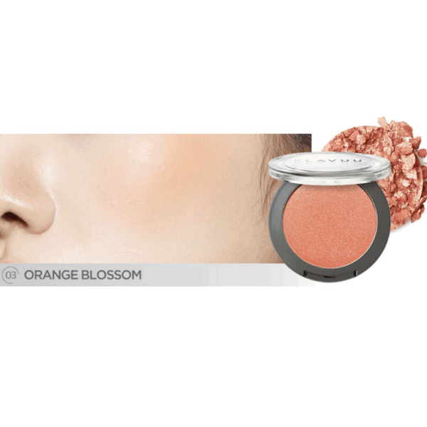 Má Hồng Klavuu Urban Pearlsation Natural Powder Blusher 5.5g - Image 18