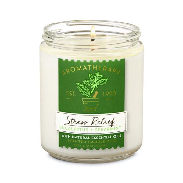 Nến Bath & Body Works 1 Bấc - Image 15