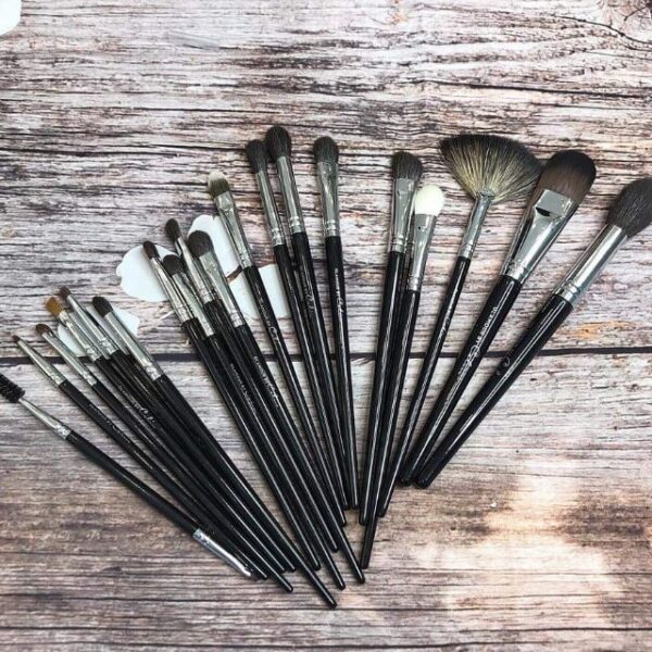 Cọ Celin Mắt Dẹt - Image 4