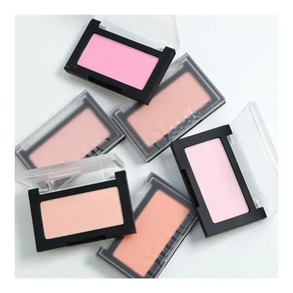 Má Hồng Dinto Blur-Finish All That Monents 4.5g - Image 3