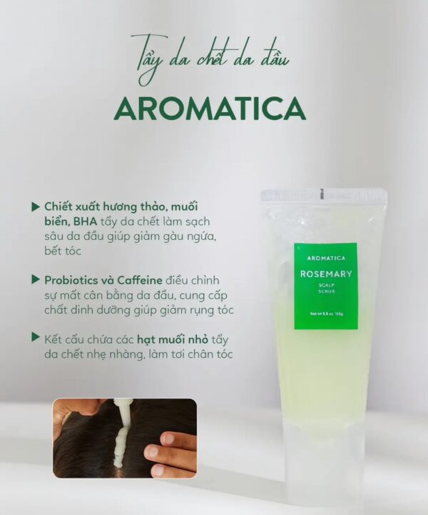 Tẩy Tế Bào Da Đầu Aromatica Rosemary Scalp Scrub 165g - Image 4