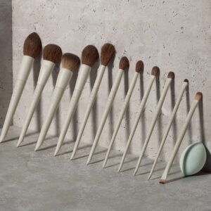 Bộ Cọ M X Ariel Morphe Signature Look 12 Cây