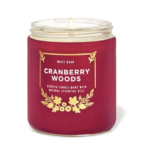 Nến Bath & Body Works 1 Bấc - Image 36