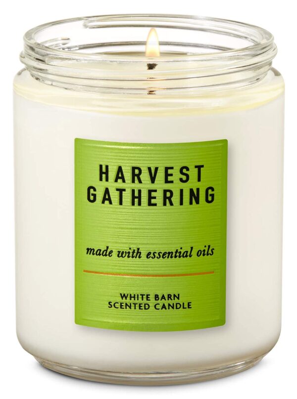 Nến Bath & Body Works 1 Bấc - Image 38