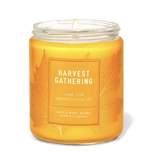 Nến Bath & Body Works 1 Bấc - Image 43