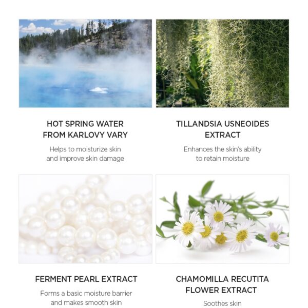 Xịt Khoáng Jung Saem Mool 3-in-1 Essential Mool Micro Fitting Mist - Image 5