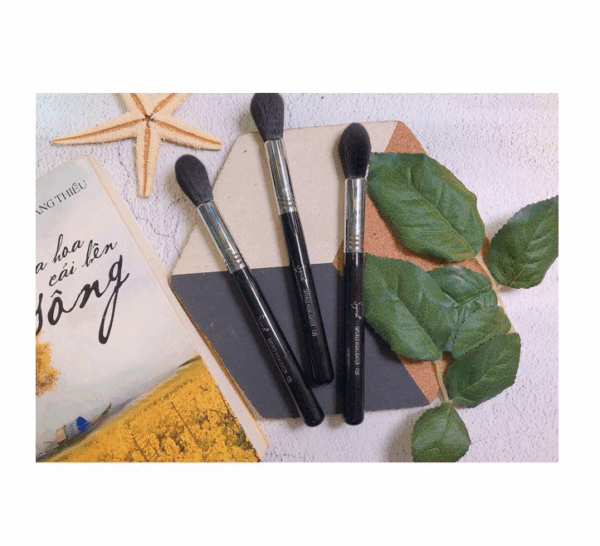 Cọ Highlight Sigma F35 - Image 3