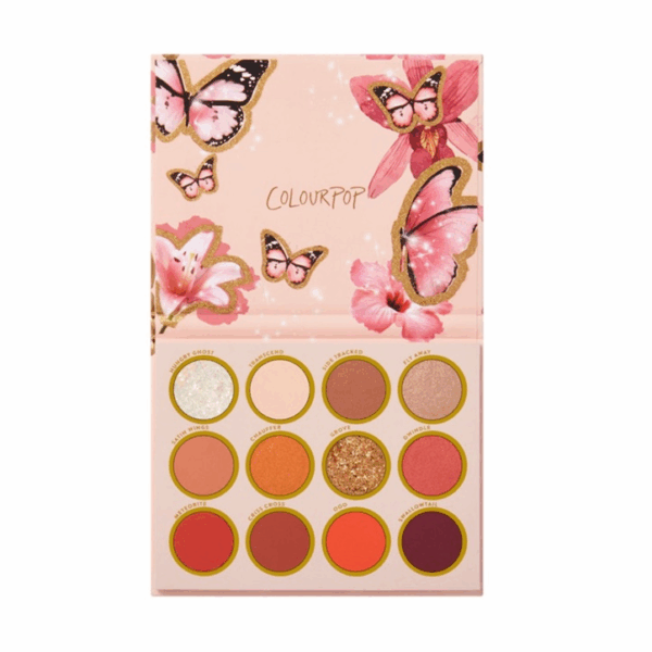 Bảng Mắt Colourpop A Flutter