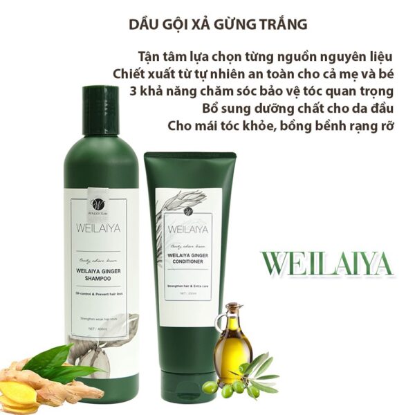 Cặp Gội Xả Weilaiya - Ginger Trắng - Image 3