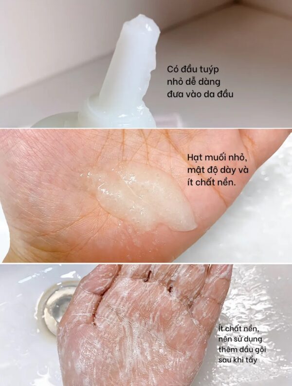 Tẩy Tế Bào Da Đầu Aromatica Rosemary Scalp Scrub 165g - Image 2