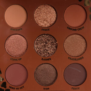 Bảng Mắt Colourpop Wild Child