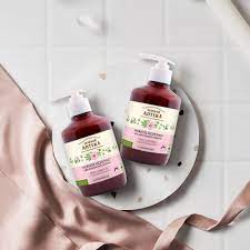 DDVS Anteka dạng sữa - Image 5