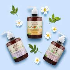 DDVS Anteka dạng sữa - Image 3