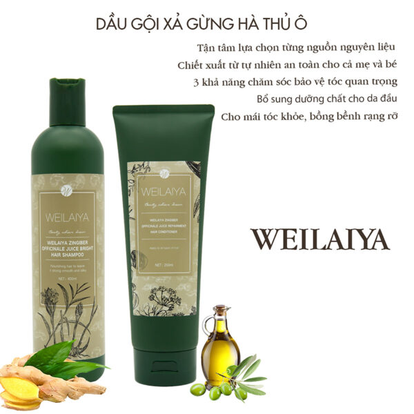 Cặp Gội Xả Weilaiya - Zingiber Nâu - Image 4