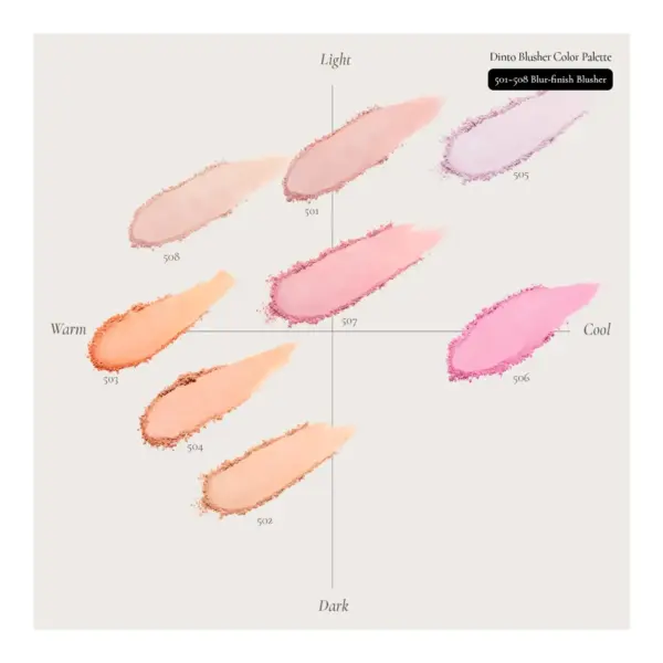 Má Hồng Dinto Blur-Finish All That Monents 4.5g - Image 8