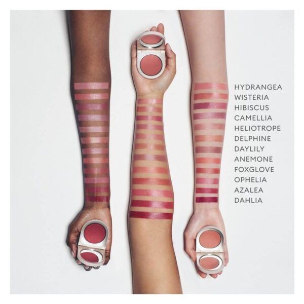 Má Hồng Rose INC Blush Divine 4.5g - Image 5