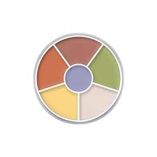 Che Khuyết Điểm Kryolan 6 Ô - Image 11