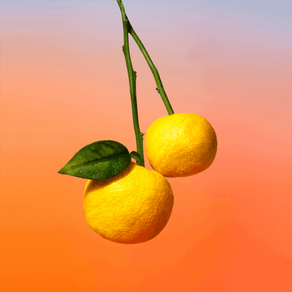 Nước Hoa LV On The Beach 100ml - Image 3