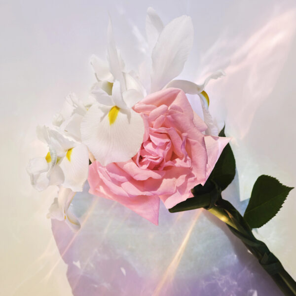 Nước Hoa LV Spell on you - Image 5