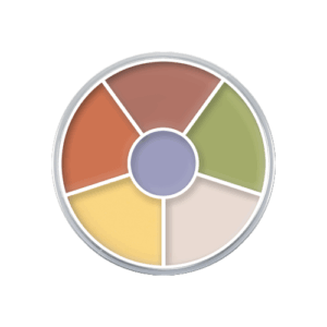 Che Khuyết Điểm Kryolan 6 Ô