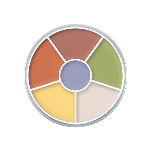 Che Khuyết Điểm Kryolan 6 Ô - Image 10