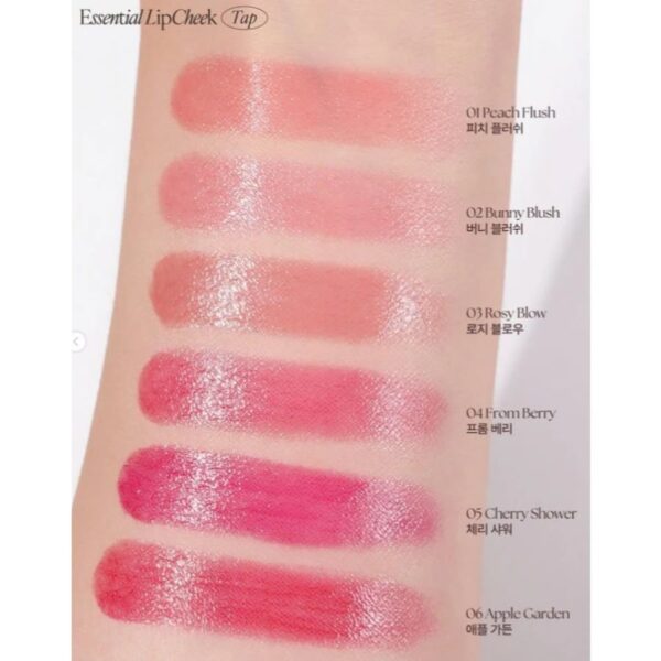 Son & Má Clio Essential Lipcheek Tap - Image 3