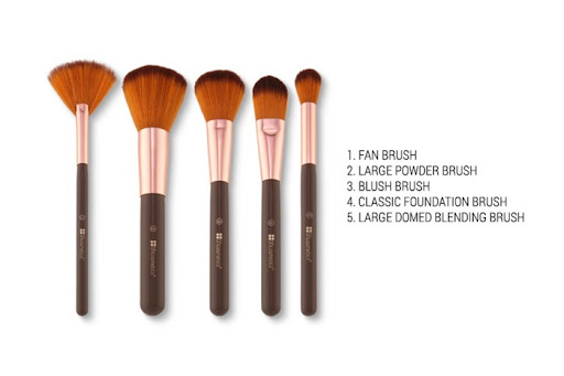 Bộ Cọ BH Bronze 12c - Image 3