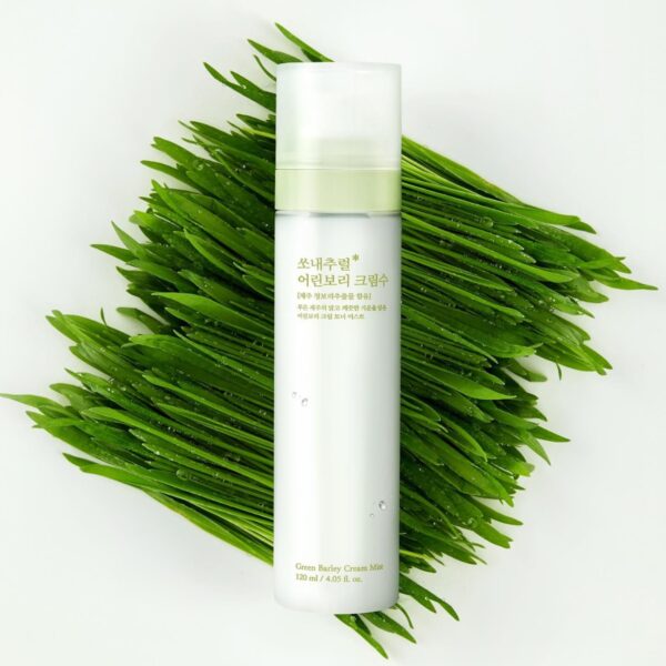 Xịt Khoáng So’Natural Green Barley Cream Mist 120ml - Image 5