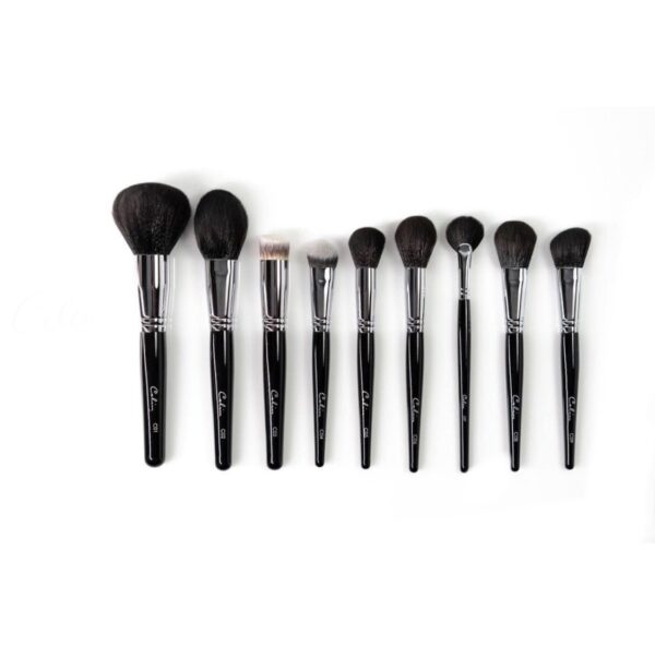 Bộ Cọ Celin 30 Cây Kèm Hộp - Image 3